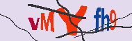 キャプチャ(CAPTCHA)認証コード