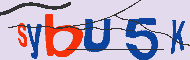 キャプチャ(CAPTCHA)認証コード