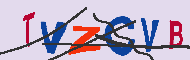キャプチャ(CAPTCHA)認証コード