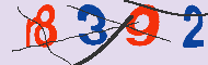 キャプチャ(CAPTCHA)認証コード