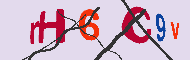 キャプチャ(CAPTCHA)認証コード