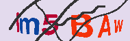 キャプチャ(CAPTCHA)認証コード