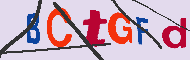 キャプチャ(CAPTCHA)認証コード