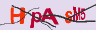 キャプチャ(CAPTCHA)認証コード