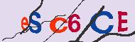 キャプチャ(CAPTCHA)認証コード