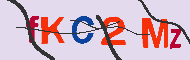 キャプチャ(CAPTCHA)認証コード