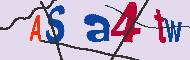 キャプチャ(CAPTCHA)認証コード