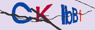 キャプチャ(CAPTCHA)認証コード