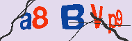 キャプチャ(CAPTCHA)認証コード