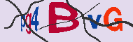 キャプチャ(CAPTCHA)認証コード