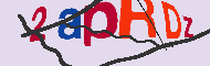 キャプチャ(CAPTCHA)認証コード