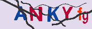 キャプチャ(CAPTCHA)認証コード