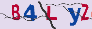 キャプチャ(CAPTCHA)認証コード