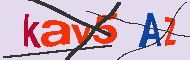 キャプチャ(CAPTCHA)認証コード