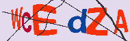 キャプチャ(CAPTCHA)認証コード