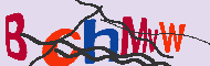 キャプチャ(CAPTCHA)認証コード