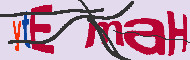 キャプチャ(CAPTCHA)認証コード