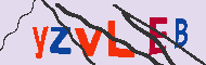 キャプチャ(CAPTCHA)認証コード