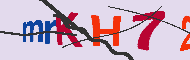 キャプチャ(CAPTCHA)認証コード