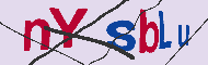 キャプチャ(CAPTCHA)認証コード