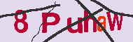 キャプチャ(CAPTCHA)認証コード