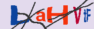 キャプチャ(CAPTCHA)認証コード