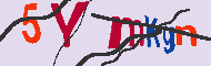 キャプチャ(CAPTCHA)認証コード