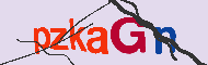 キャプチャ(CAPTCHA)認証コード