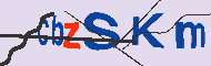 キャプチャ(CAPTCHA)認証コード