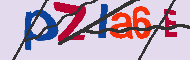 キャプチャ(CAPTCHA)認証コード