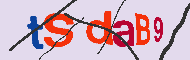キャプチャ(CAPTCHA)認証コード