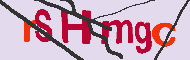 キャプチャ(CAPTCHA)認証コード