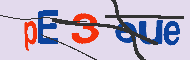 キャプチャ(CAPTCHA)認証コード
