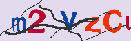 キャプチャ(CAPTCHA)認証コード