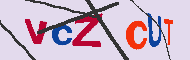 キャプチャ(CAPTCHA)認証コード