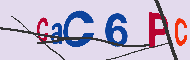キャプチャ(CAPTCHA)認証コード