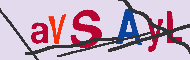 キャプチャ(CAPTCHA)認証コード