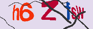 キャプチャ(CAPTCHA)認証コード