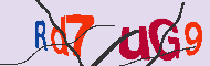 キャプチャ(CAPTCHA)認証コード
