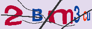 キャプチャ(CAPTCHA)認証コード
