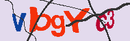 キャプチャ(CAPTCHA)認証コード