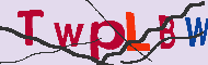 キャプチャ(CAPTCHA)認証コード