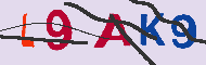 キャプチャ(CAPTCHA)認証コード