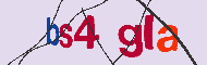 キャプチャ(CAPTCHA)認証コード