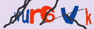 キャプチャ(CAPTCHA)認証コード