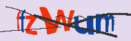 キャプチャ(CAPTCHA)認証コード