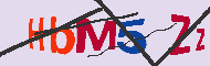 キャプチャ(CAPTCHA)認証コード