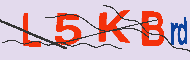 キャプチャ(CAPTCHA)認証コード