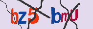 キャプチャ(CAPTCHA)認証コード