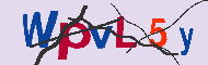 キャプチャ(CAPTCHA)認証コード